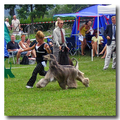 Elisabet and Figge in the Championclass